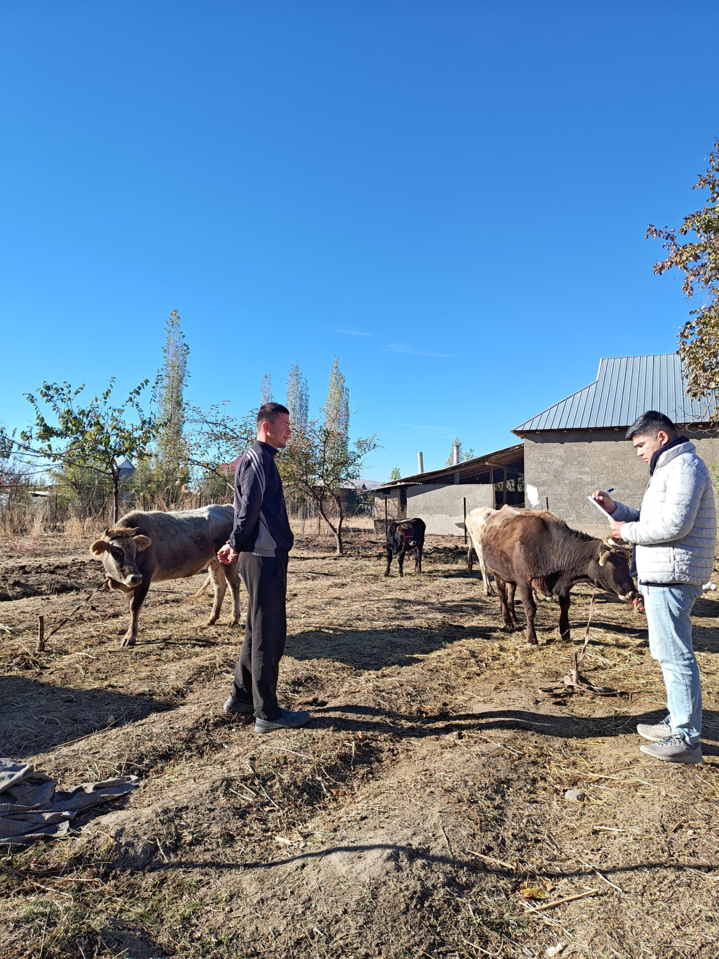 A farmer and a Malsaak team member with cattle in a rural farm setting