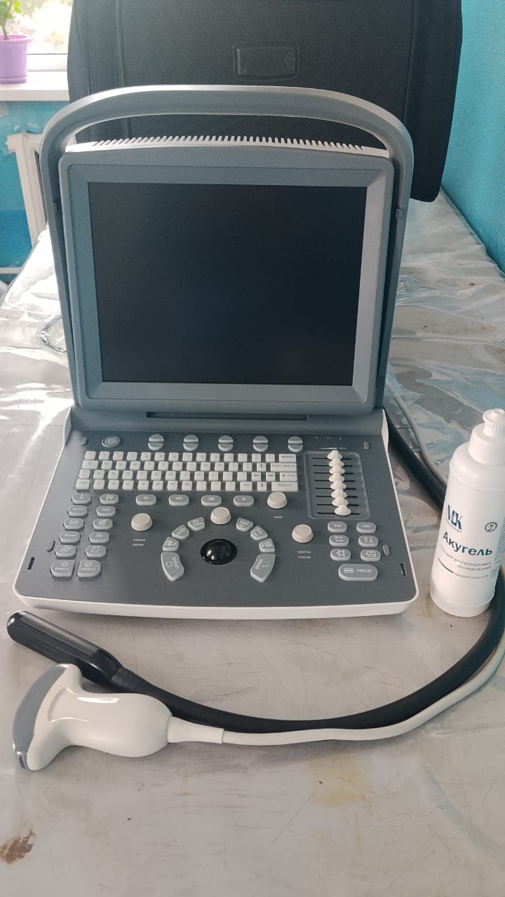 Portable veterinary ultrasound machine and probe